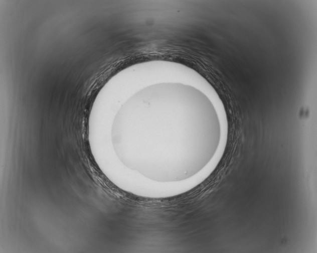 X0000111900820200907271008