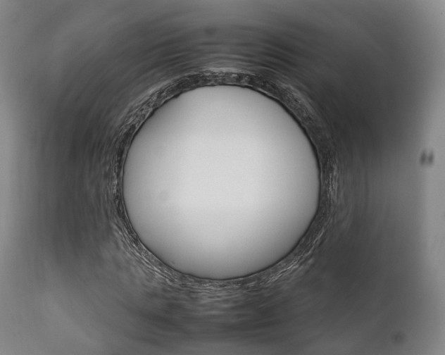 X0000111900821200907271008
