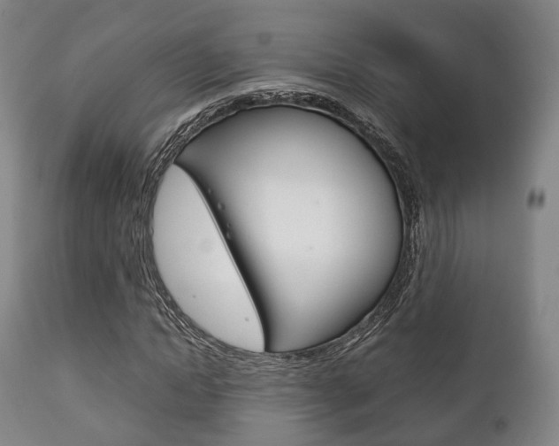 X0000111900822200907271008