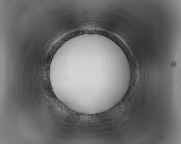 X0000111900823200907271008