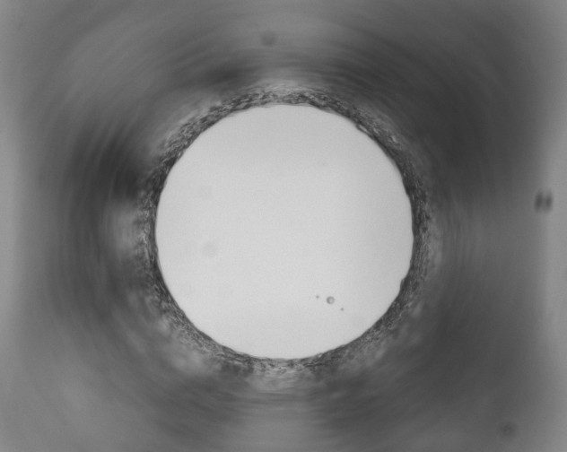 X0000111900824200907271008