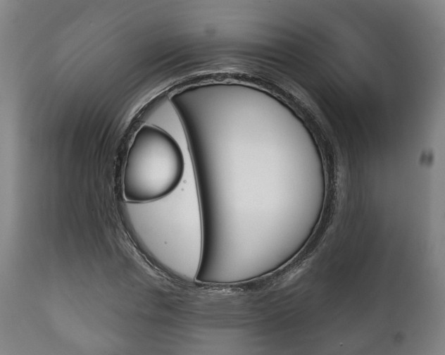X0000111900826200907271008