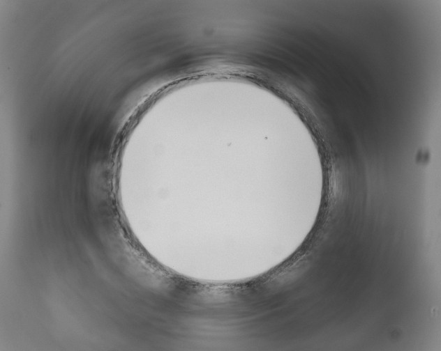 X0000111900828200907271008
