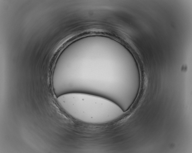 X0000111900829200907271008