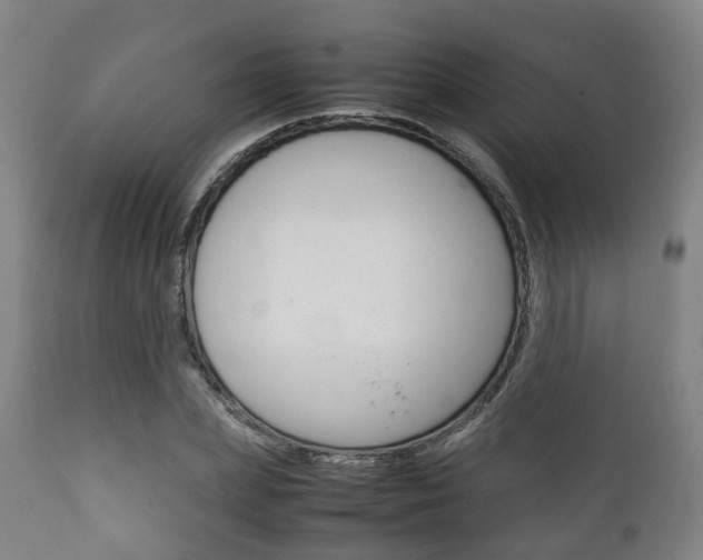 X0000111900831200907271008