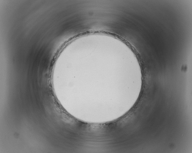 X0000111900832200907271008
