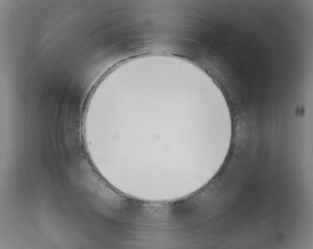 X0000111900836200907271008