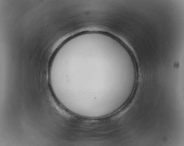 X0000111900837200907271008