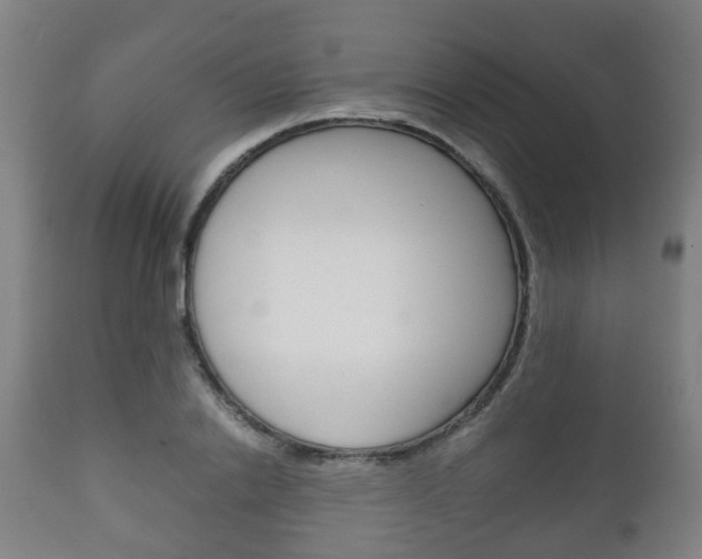 X0000111900838200907271008