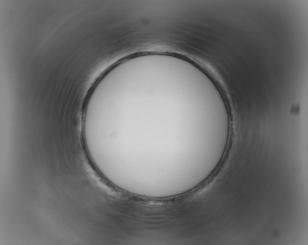 X0000111900839200907271008