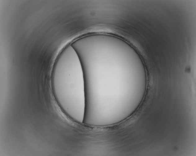 X0000111900840200907271008