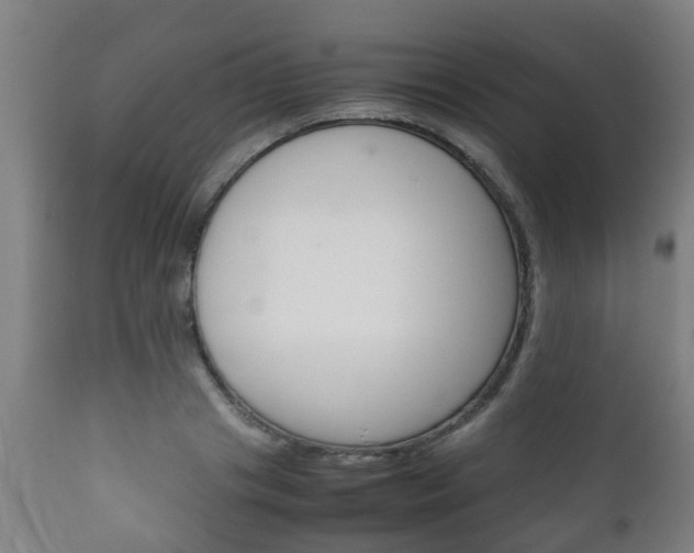 X0000111900841200907271008