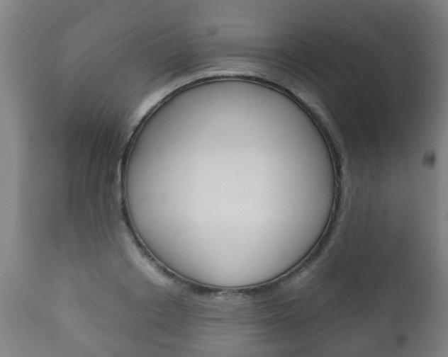 X0000111900842200907271008