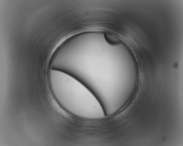 X0000111900843200907271008