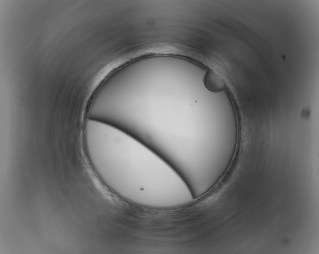 X0000111900845200907271008