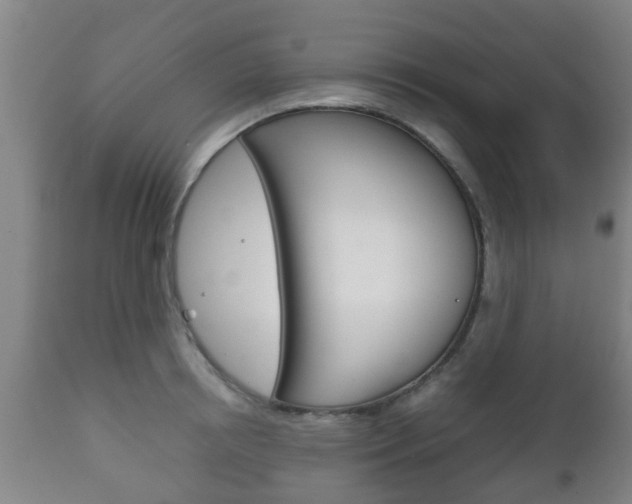 X0000111900850200907271008
