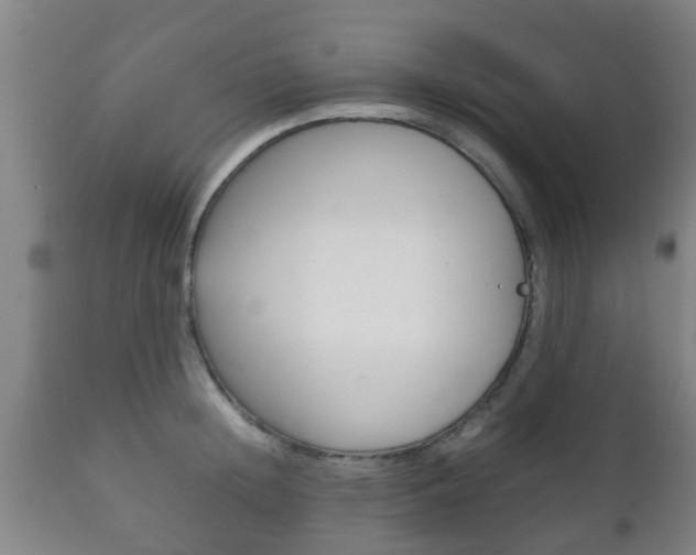 X0000111900852200907271008