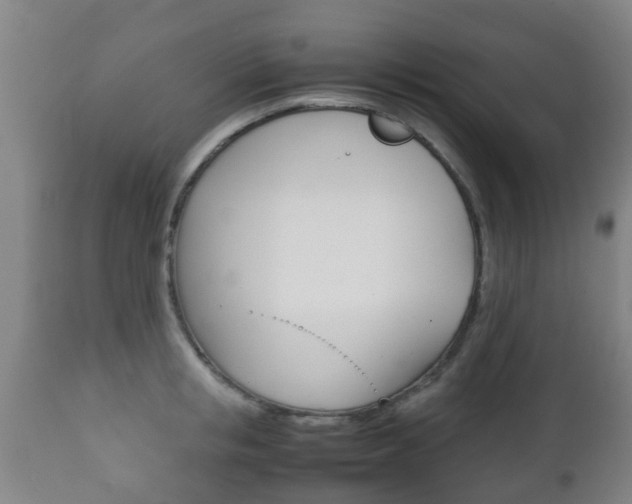 X0000111900853200907271008