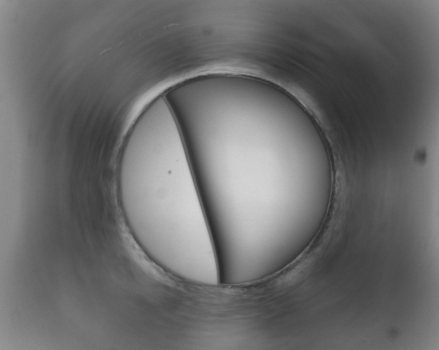 X0000111900854200907271008