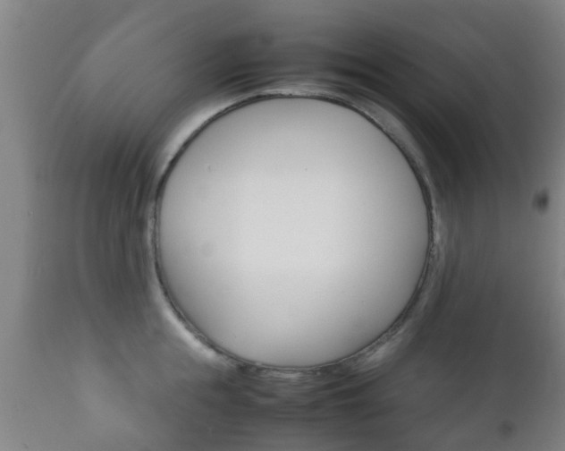 X0000111900855200907271008