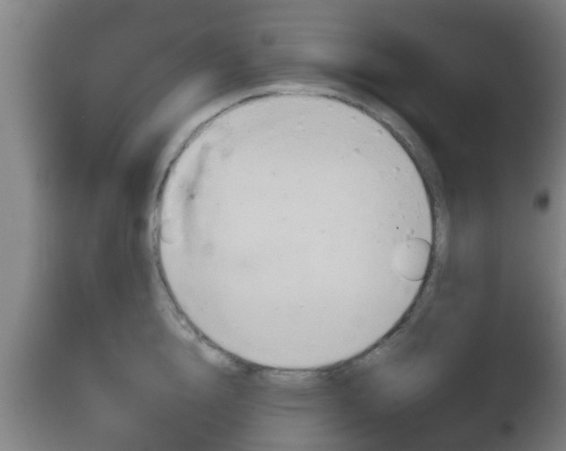 X0000111900856200907271008