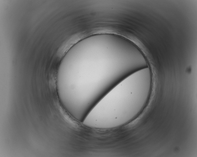 X0000111900857200907271008