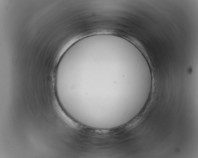 X0000111900859200907271008