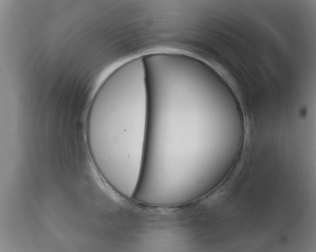 X0000111900862200907271008