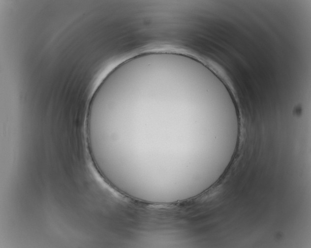 X0000111900863200907271008