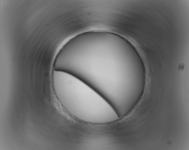 X0000111900864200907271008