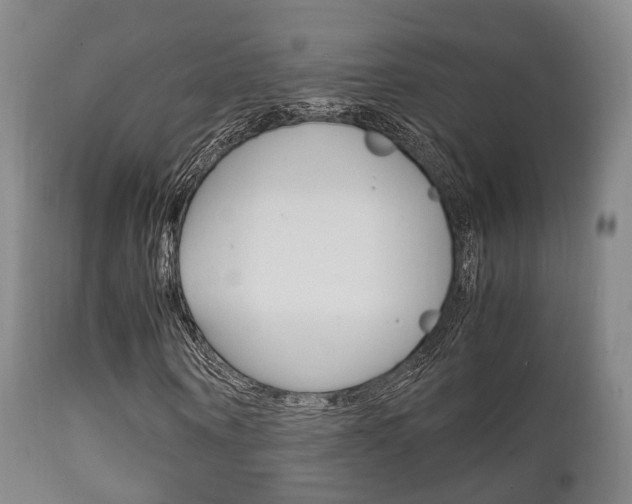 X0000111900866200907271007