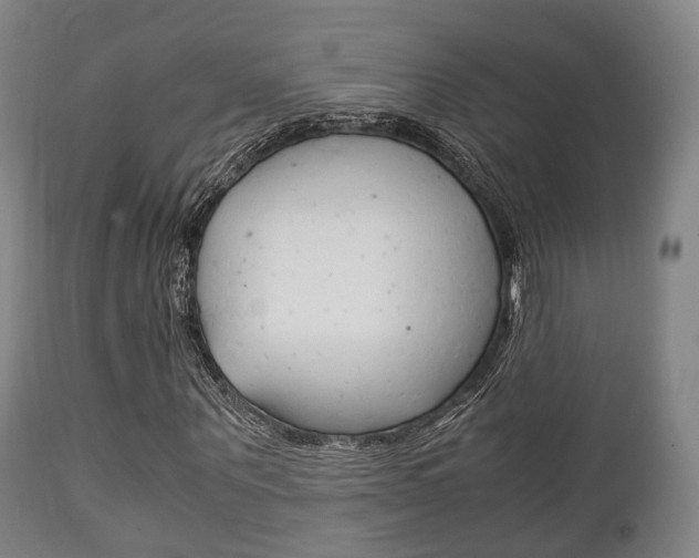 X0000111900867200907271007