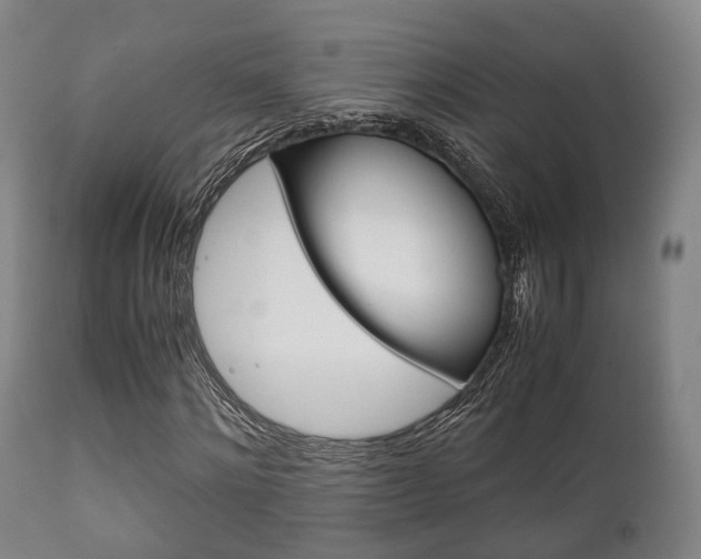 X0000111900868200907271007