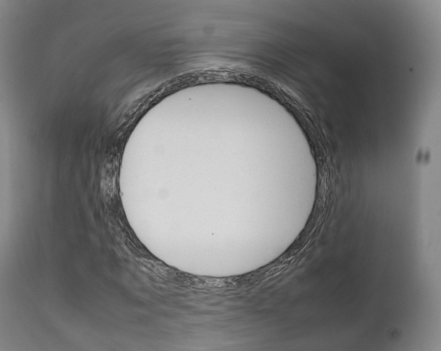 X0000111900869200907271007
