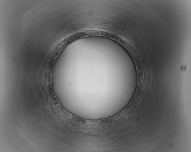 X0000111900870200907271007