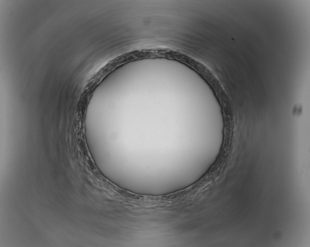X0000111900871200907271007