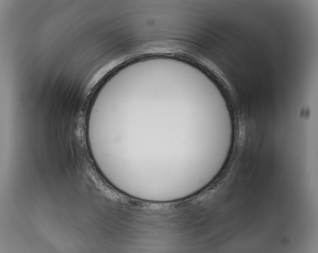 X0000111900874200907271007