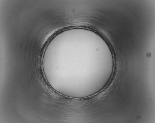 X0000111900875200907271007