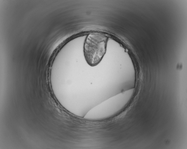 X0000111900877200907271007