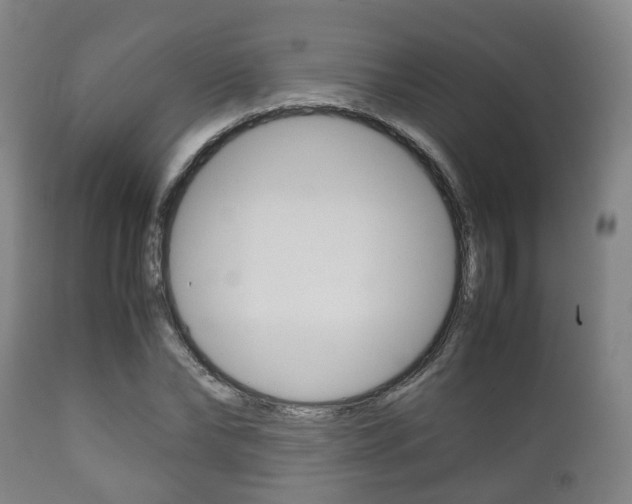 X0000111900878200907271007
