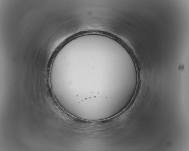 X0000111900879200907271007
