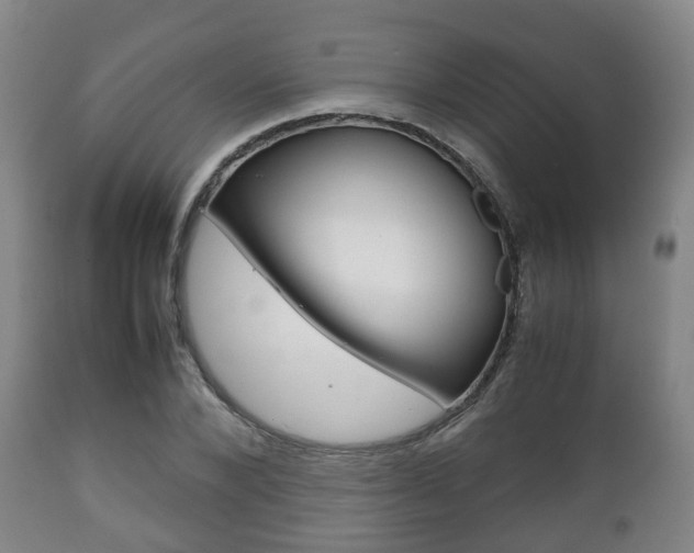 X0000111900880200907271007