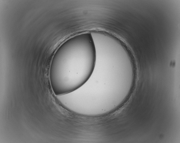 X0000111900881200907271007