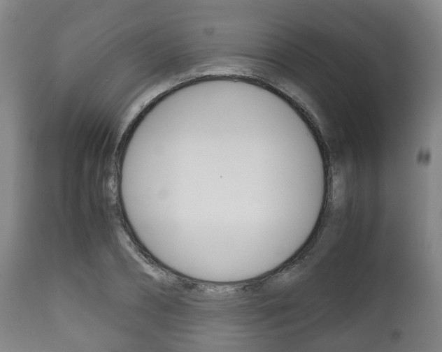 X0000111900882200907271007