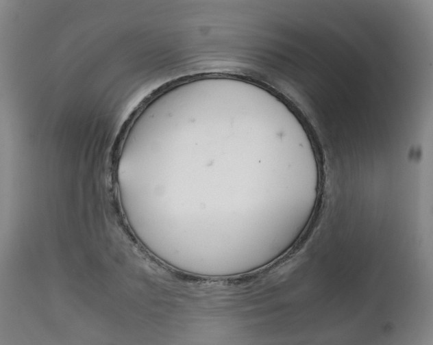 X0000111900883200907271007