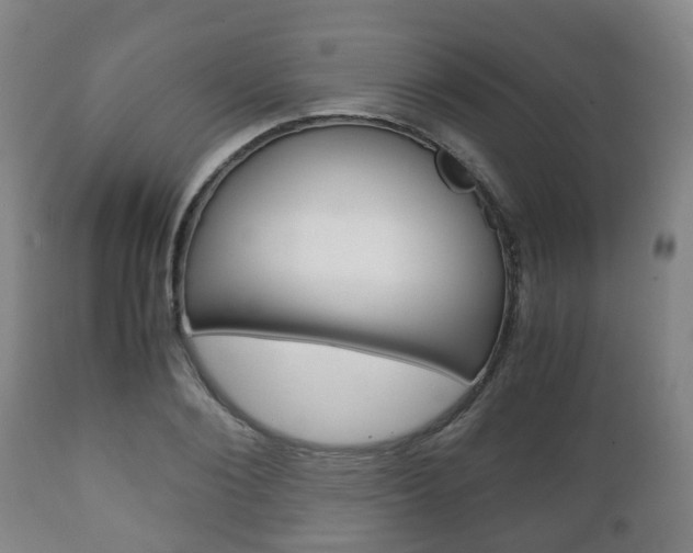 X0000111900884200907271007