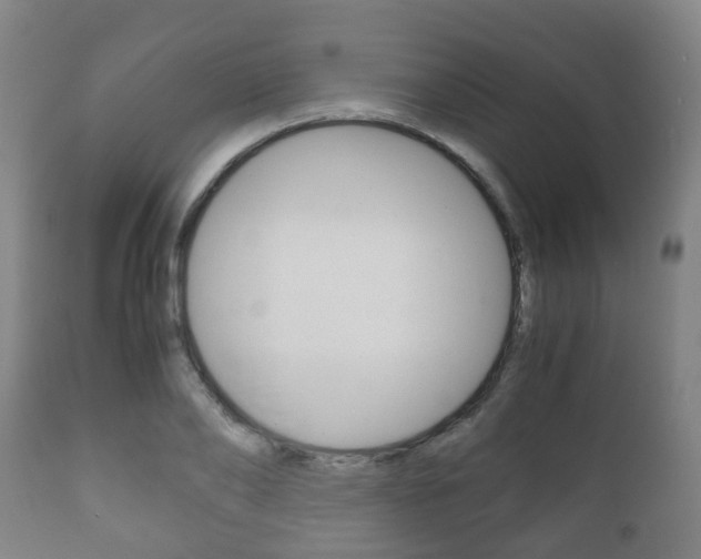 X0000111900886200907271007