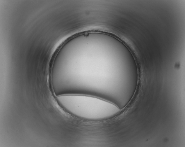 X0000111900888200907271007
