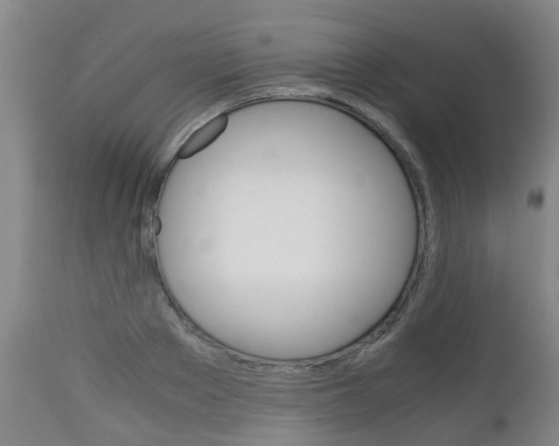 X0000111900889200907271007