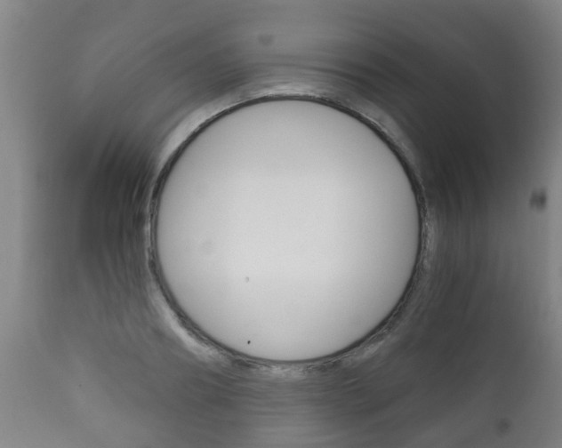 X0000111900890200907271007